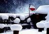 BG2AUE Image
